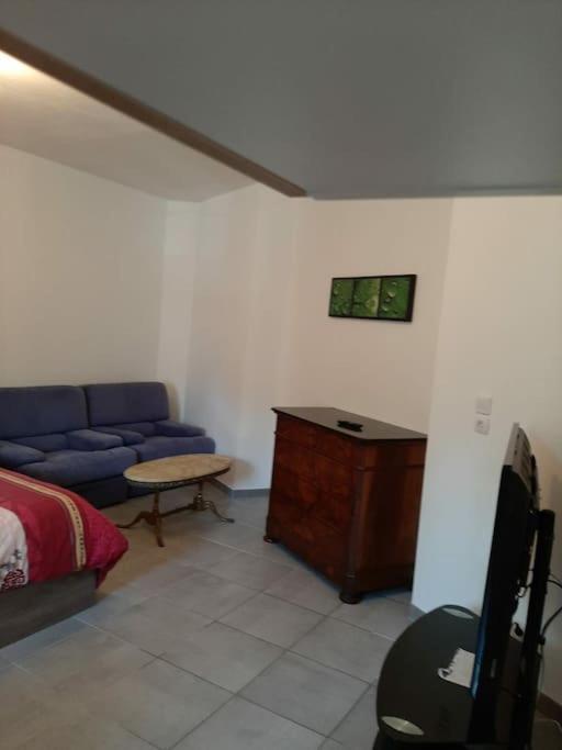 Appartement Confortable En Hyper Centre Parking Gratuit Dans La Rue Acces Avec Boite A Clee à Castres  Extérieur photo