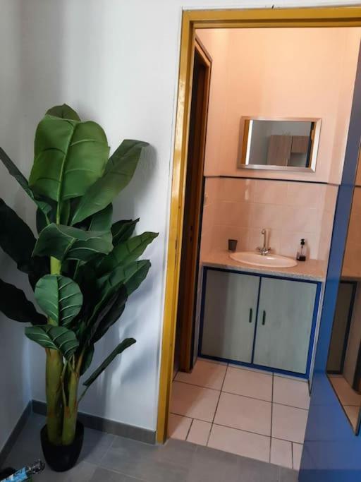 Appartement Confortable En Hyper Centre Parking Gratuit Dans La Rue Acces Avec Boite A Clee à Castres  Extérieur photo